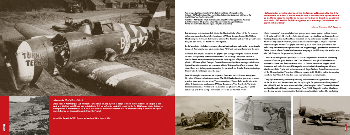 Hell Hawks book and history of the 365th fighter group