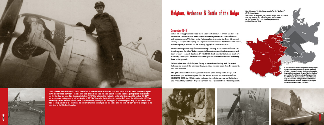 Hell Hawks book and history of the 365th fighter group